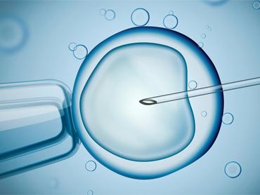 A leading chain of IVF centers in India adopted FForce to automate sales process and handle patient management